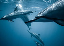 开云：让云端成为日常的第二肌理